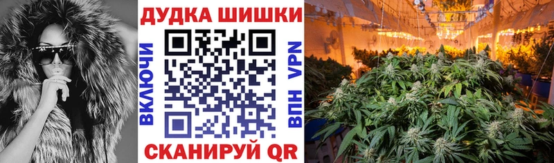 Шишки марихуана сатива  mega как войти  Борисоглебск 